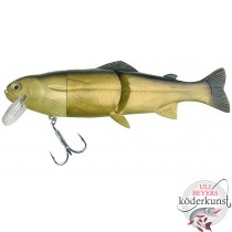 Castaic - Real Bait - Golden Shiner