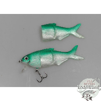 Castaic - Gizzard Shad - UBS Green