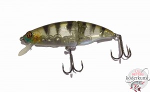 Pontoon21 - Danzante J 100F SR - Perch 