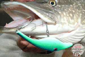 UBS04 Zalt UBS04 Zalt